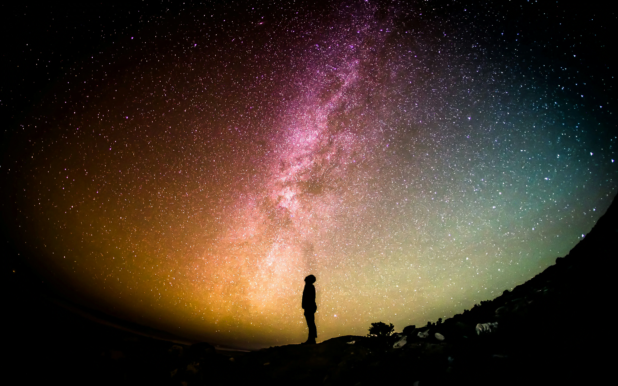 Finely-Tuned Universe