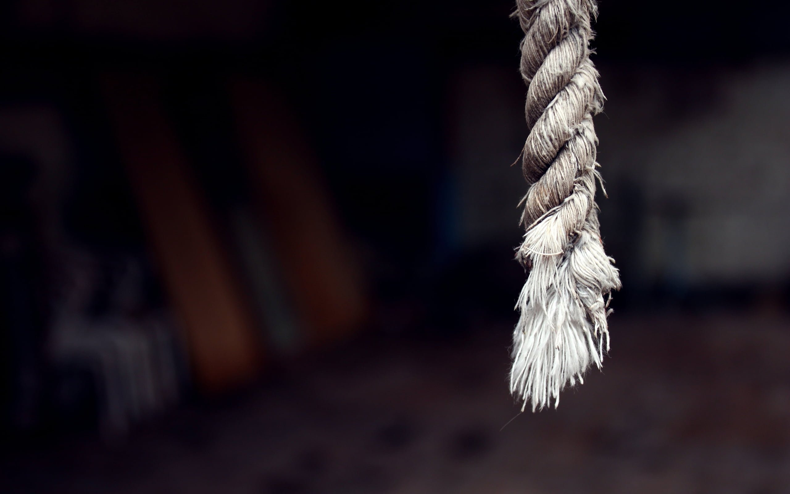 Capital Punishment